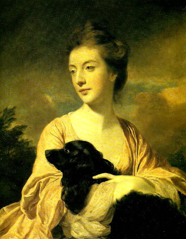 Sir Joshua Reynolds mary , duchess of richmond oil painting picture